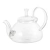 20 oz/600 ml Glass Teapot Removable Metal Spout Hanging Spring